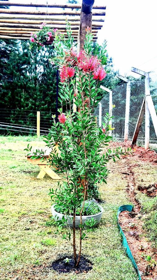 Campos do JordãoCasa Lavanda Vila Inglesa别墅 外观 照片